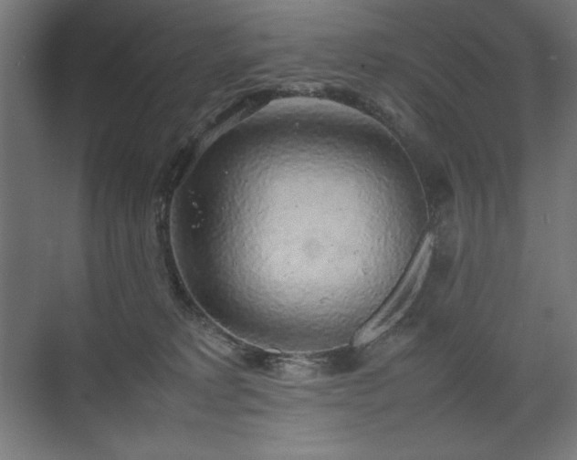 X0000074970229200609011224