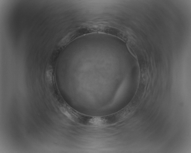 X0000074970231200609011224