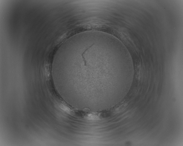 X0000074970232200609011224