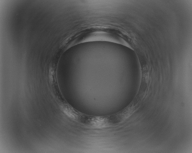 X0000074970235200609011224