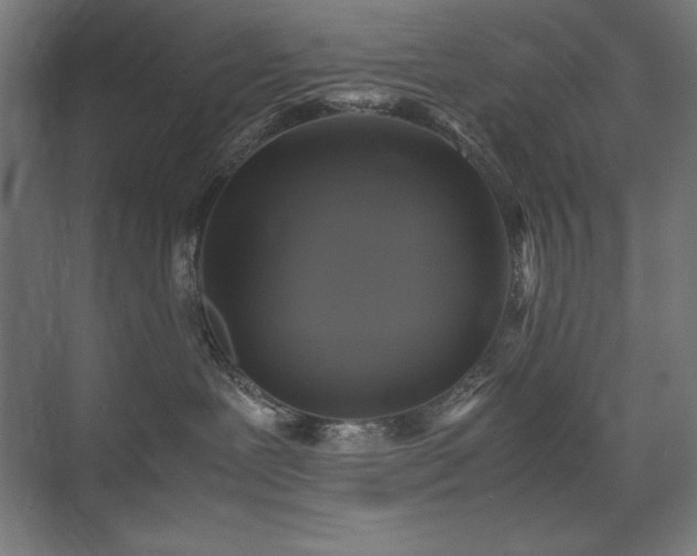 X0000074970239200609011224