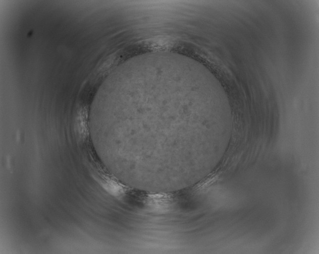 X0000074970240200609011224