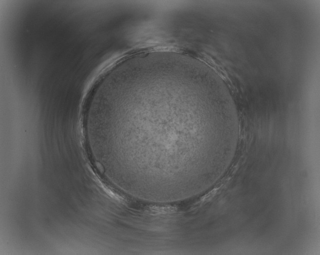 X0000074970245200609011223