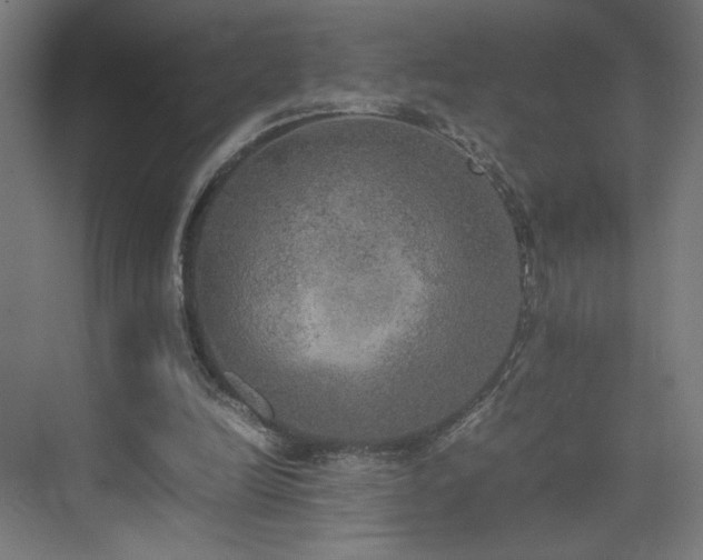 X0000074970246200609011223