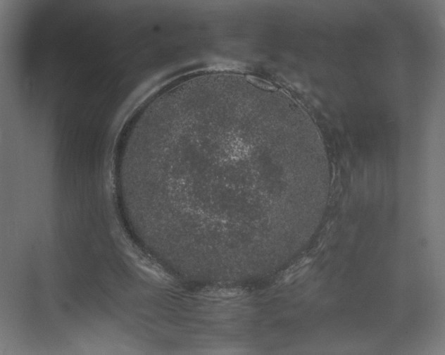 X0000074970247200609011223