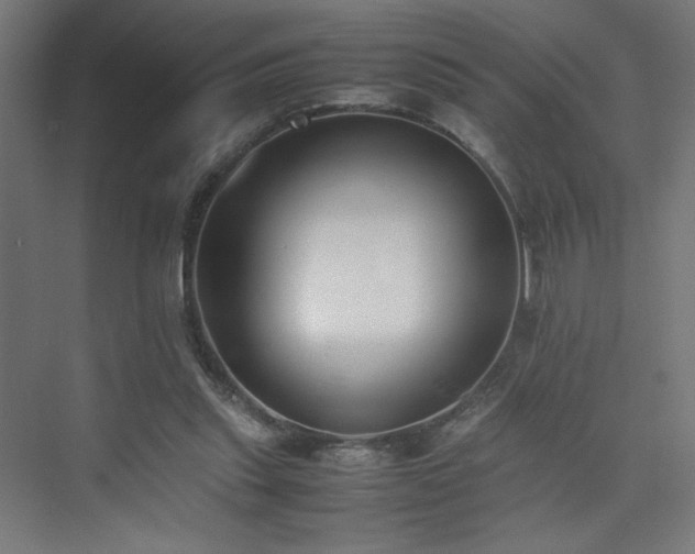 X0000074970253200609011223