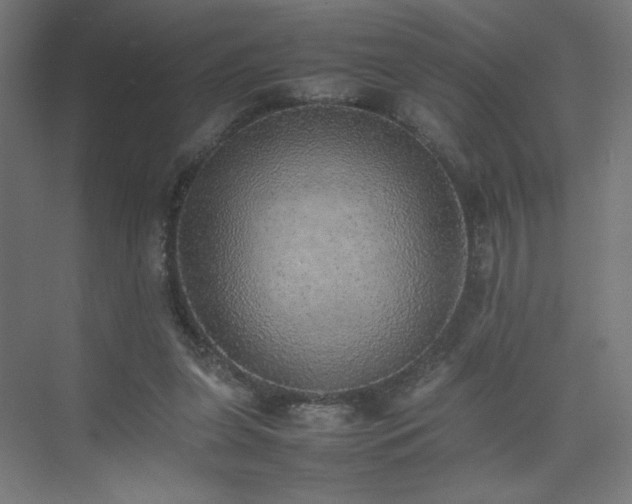 X0000074970255200609011223