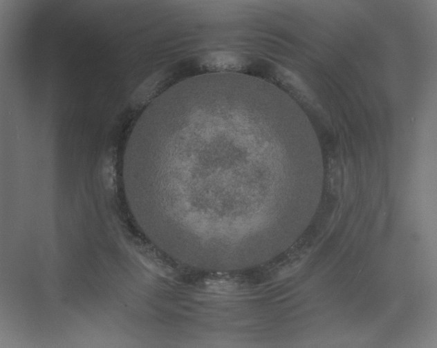 X0000074970259200609011223