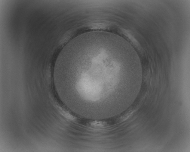 X0000074970261200609011223