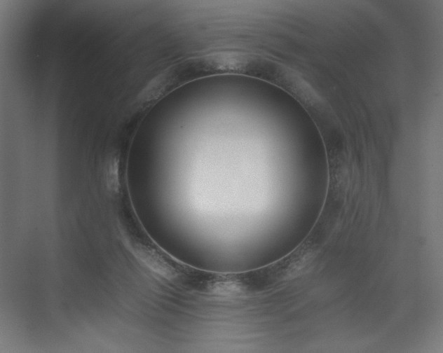 X0000074970262200609011223