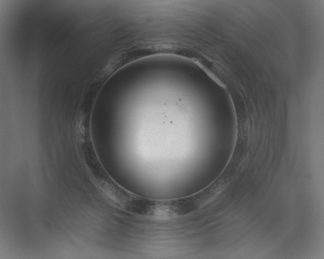 X0000074970264200609011223