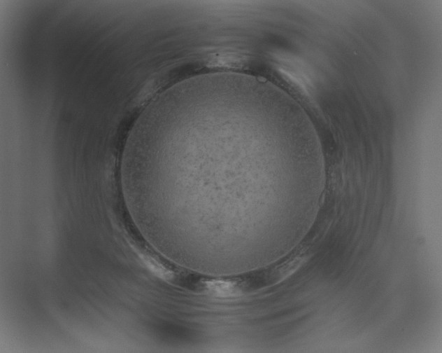 X0000074970265200609011223