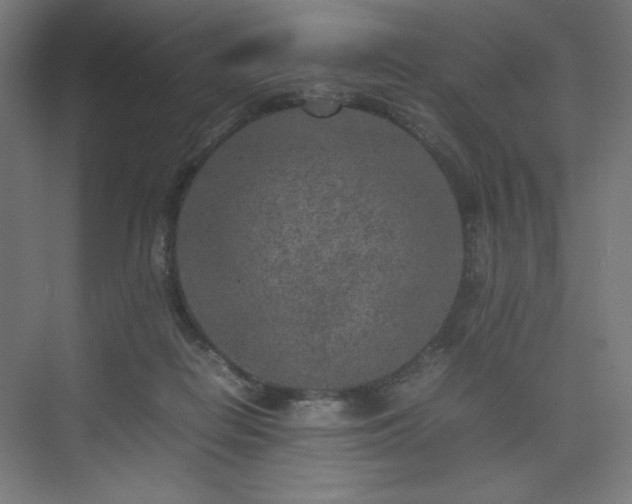 X0000074970266200609011223