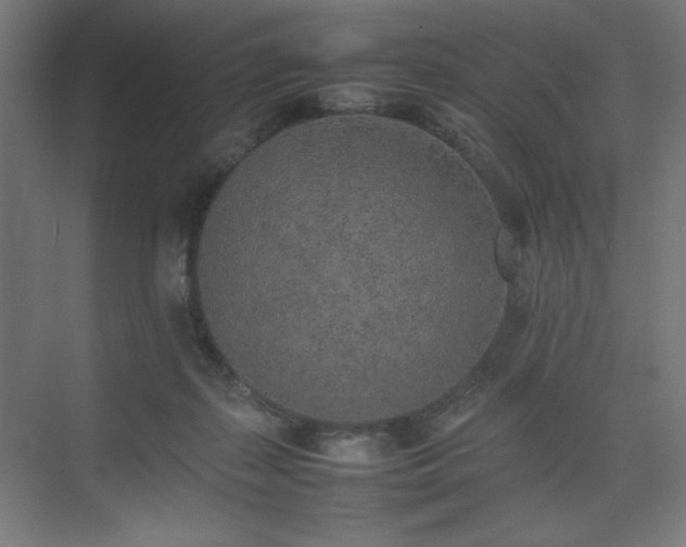 X0000074970267200609011223