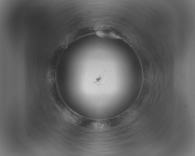 X0000074970272200609011223