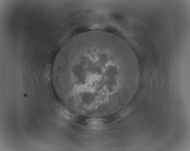 X0000074970273200609011223