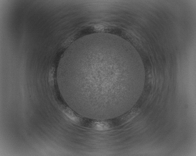 X0000074970275200609011224