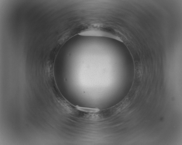 X0000074970276200609011224