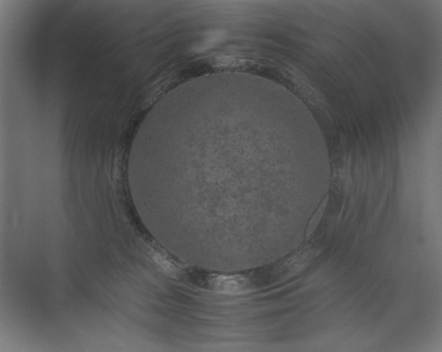 X0000074970277200609011224