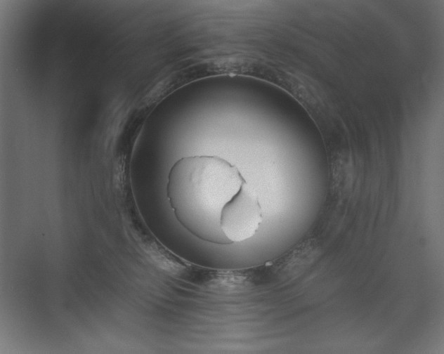 X0000074970278200609011224