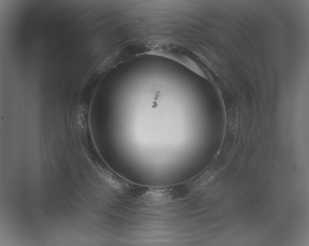 X0000074970280200609011224