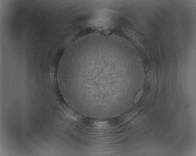 X0000074970283200609011224