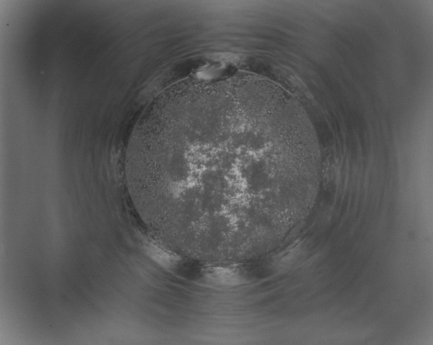 X0000074970285200609011224