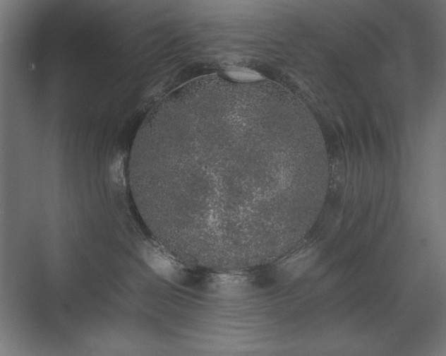 X0000074970286200609011224