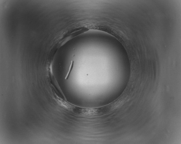 X0000074970288200609011224