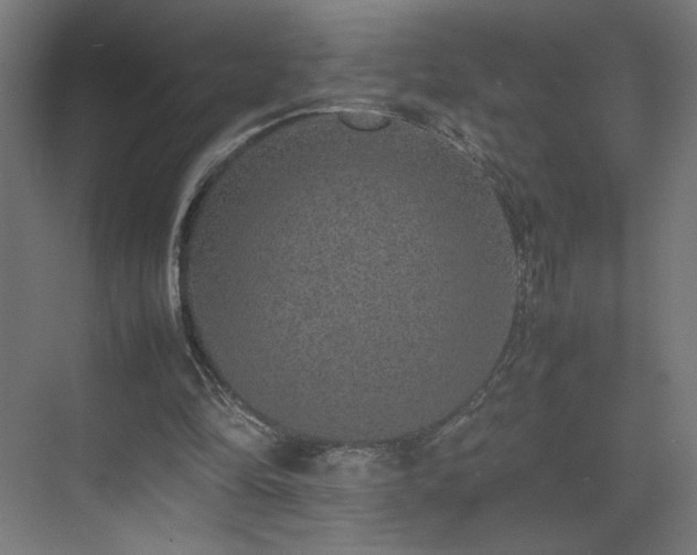 X0000074970294200609011223