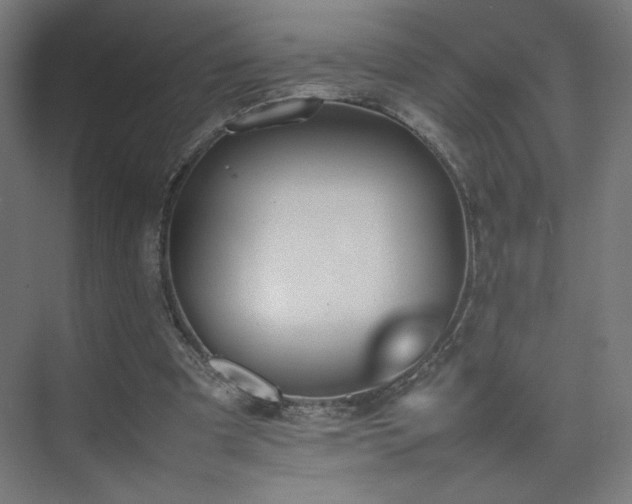 X0000074970297200609011223