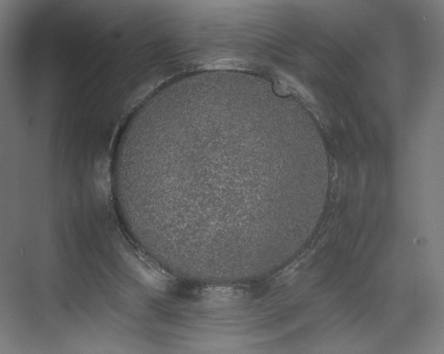 X0000074970298200609011223