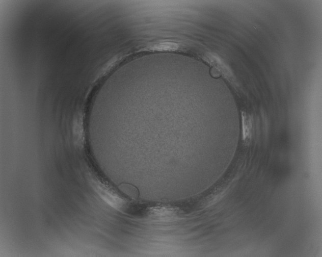 X0000074970300200609011223