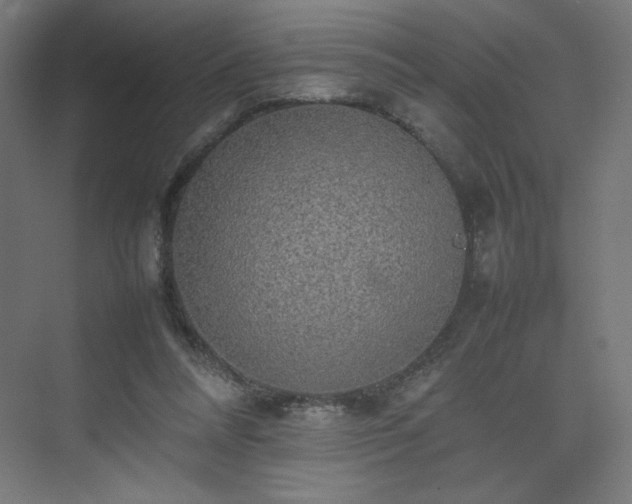 X0000074970304200609011223