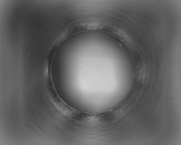 X0000074970310200609011223