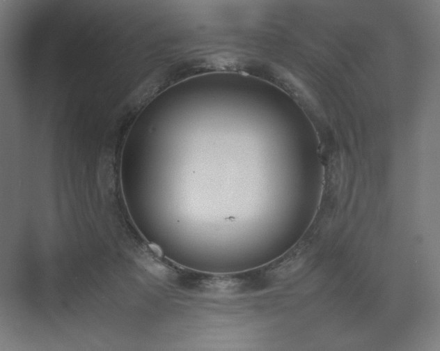 X0000074970313200609011223