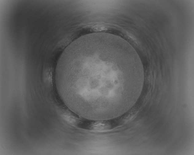 X0000074970315200609011222