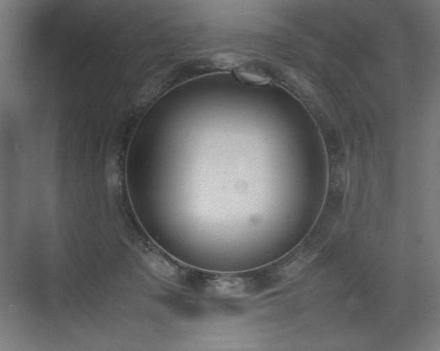 X0000074970317200609011222