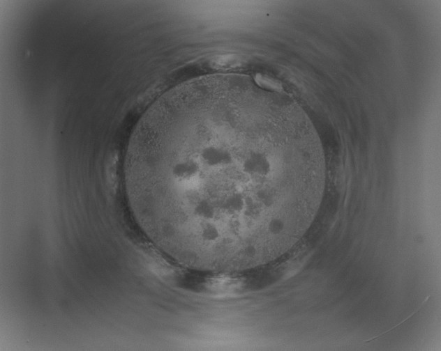 X0000074970319200609011222