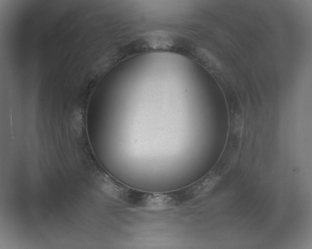 X0000074970321200609011222