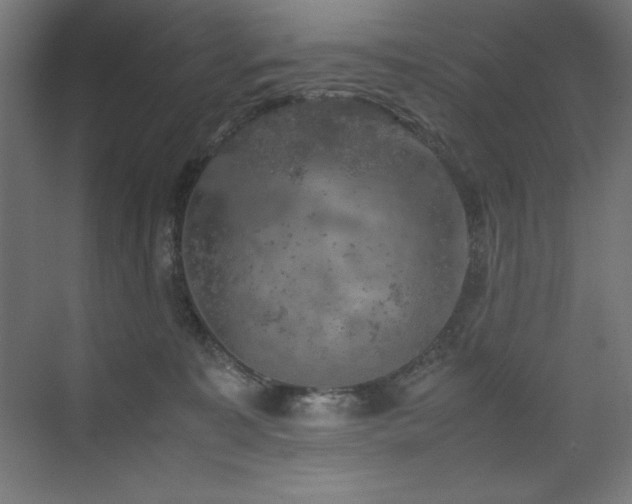 X0000074970323200609011222