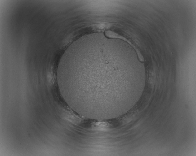 X0000074970324200609011222