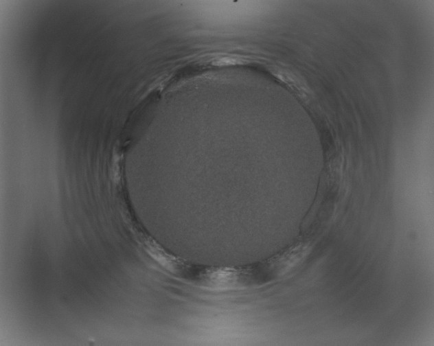 X0000074970325200609011222