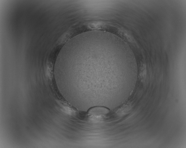 X0000074970332200609011222