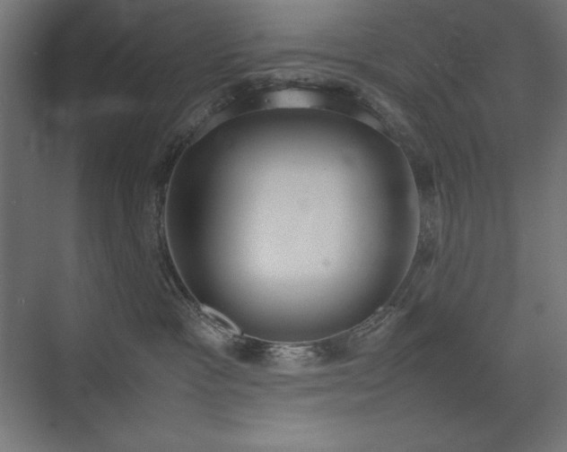 X0000074970333200609011222