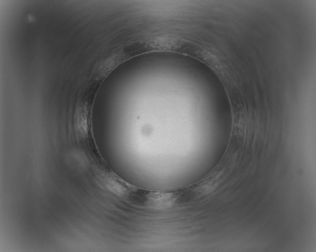 X0000074970334200609011222