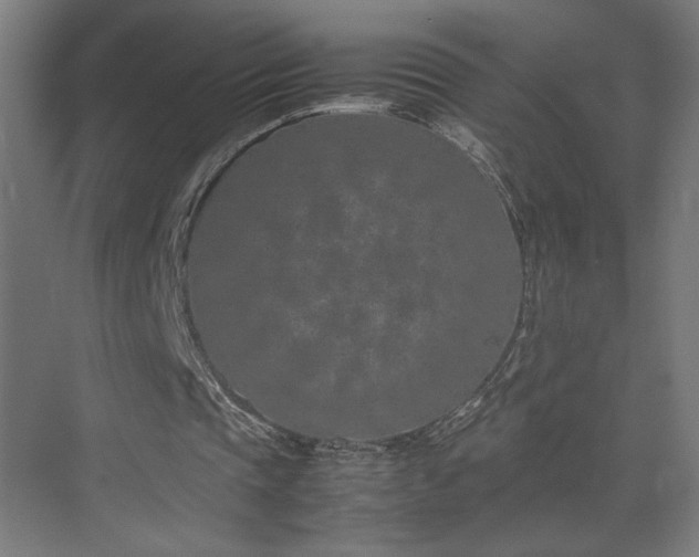 X0000074970337200609011221