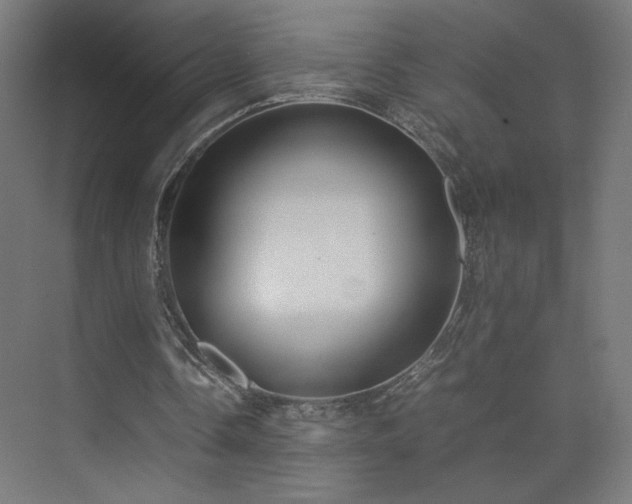 X0000074970338200609011221