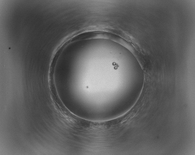 X0000074970340200609011221