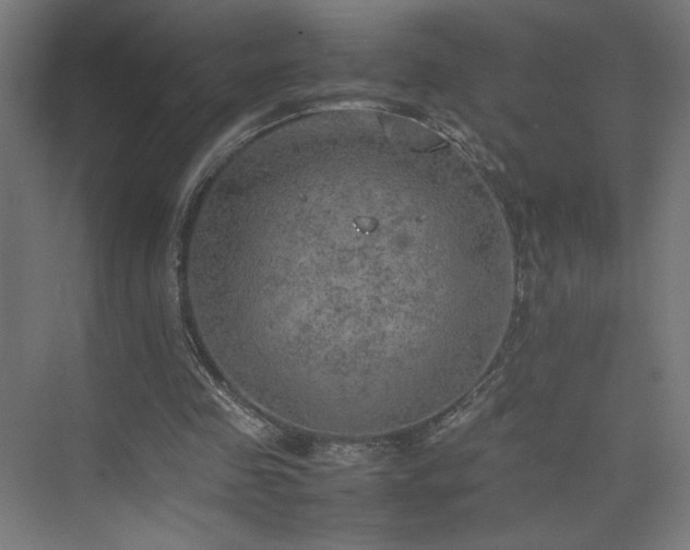 X0000074970341200609011221